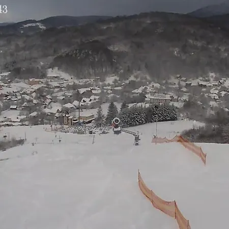 Polyana Apart بوليانا