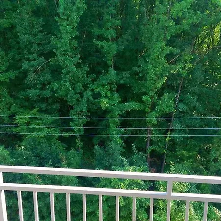 Polyana Apart Apartment
