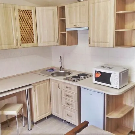 Apartment Polyana Apart