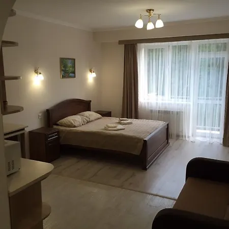 Apartment Polyana Apart