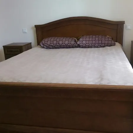 Polyana Apart Apartment