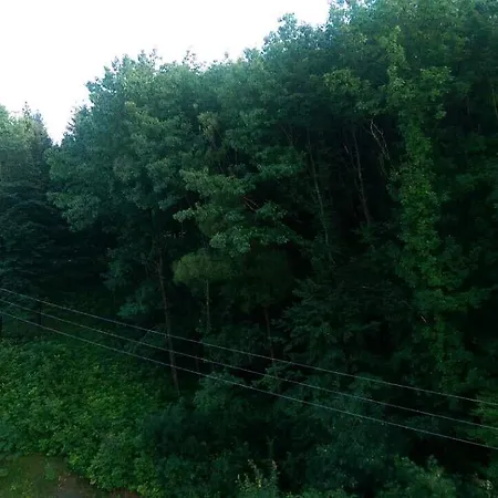 Polyana Apart Apartment Polyana (Transcarpathia)