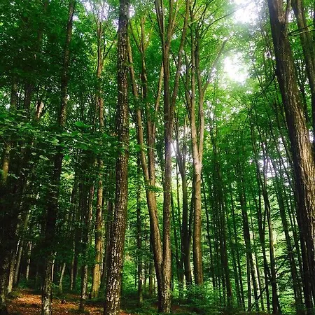 شقة Polyana Apart بوليانا