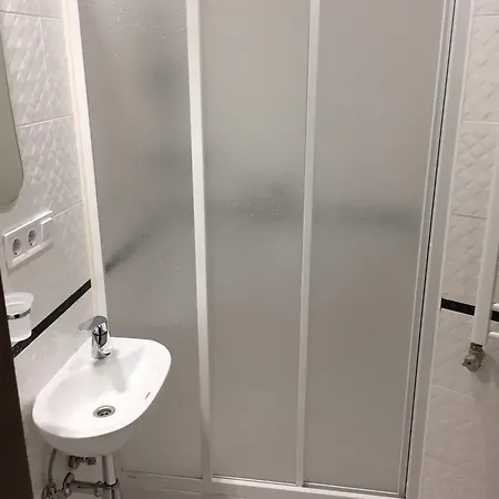 Polyana Apart Apartment Polyana (Transcarpathia)