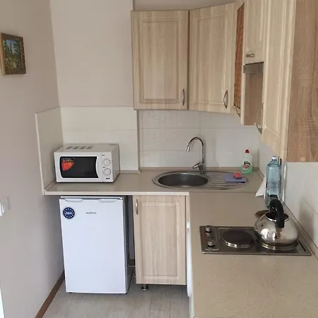 Polyana Apart Apartment Polyana (Transcarpathia)