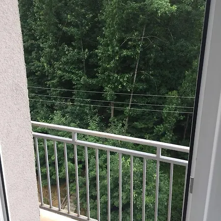 Polyana Apart Polyana (Transcarpathia)