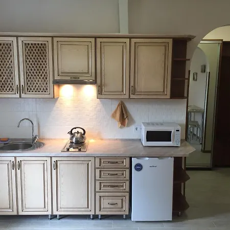 Apartment Polyana Apart