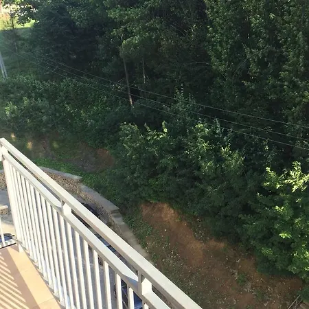 Polyana Apart بوليانا