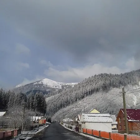 Apartment Polyana Apart