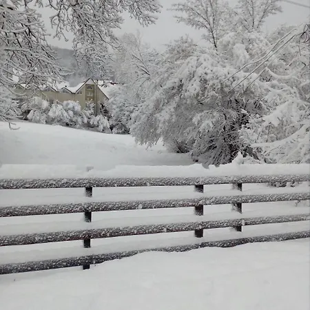 Polyana Apart Polyana (Transcarpathia)