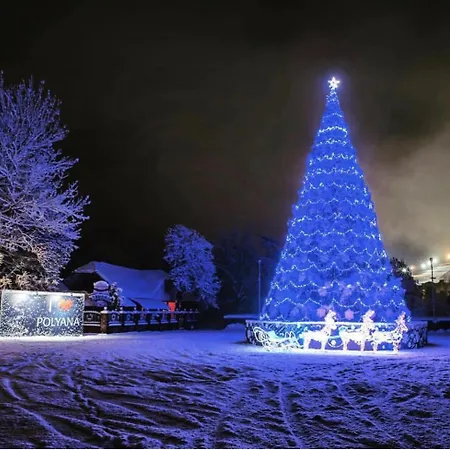 Polyana Apart * Poljana