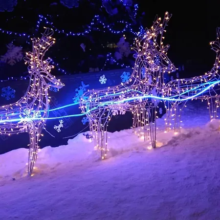 Polyana Apart * Polyana (Transcarpathia)