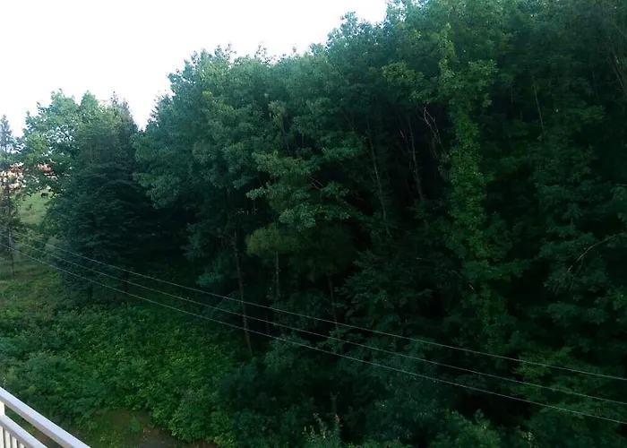 Polyana Apart Apartamento Polyana (Transcarpathia)
