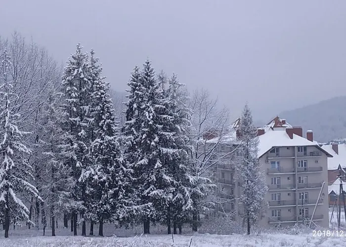 Polyana Apart Apartamento Polyana (Transcarpathia)